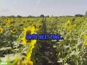 Chaturbate Sex Chat of sunflower0907
