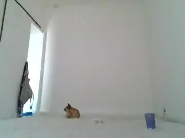 Chaturbate Best Webcam of missnatural1