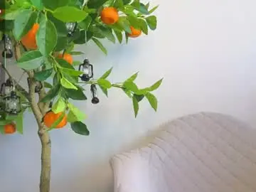 Chaturbate Live Sex of sinfulfairy