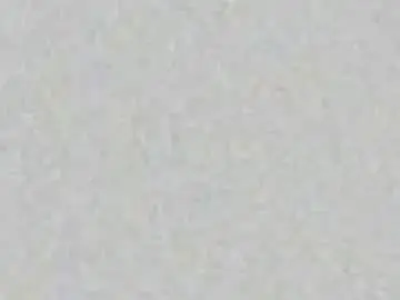Chaturbate Free Live Porn of nickyplus
