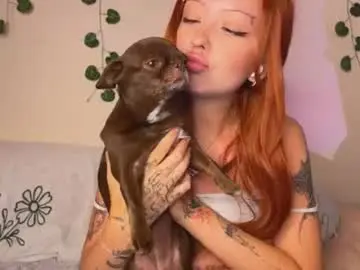 Chaturbate Adult Webcams of nikki_whatever