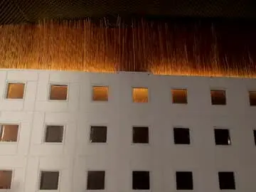 Chaturbate Free Porn Cam of ambaar__1