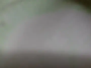 Chaturbate Live Porn of luscious_cuvy
