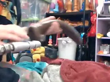 Chaturbate Free Live Porn of animergamergirl