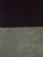Dscgirls Live Sex of Hot_Shanaya🔥🔥