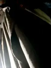 Dscgirls Best live sex cam show of Tanya