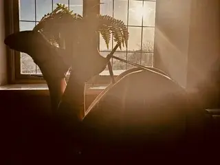 Streamate Best live sex cam show of KatieCarterX