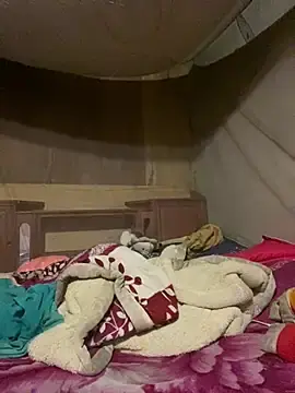 Stripchat Free Porn Cam of ha-cute