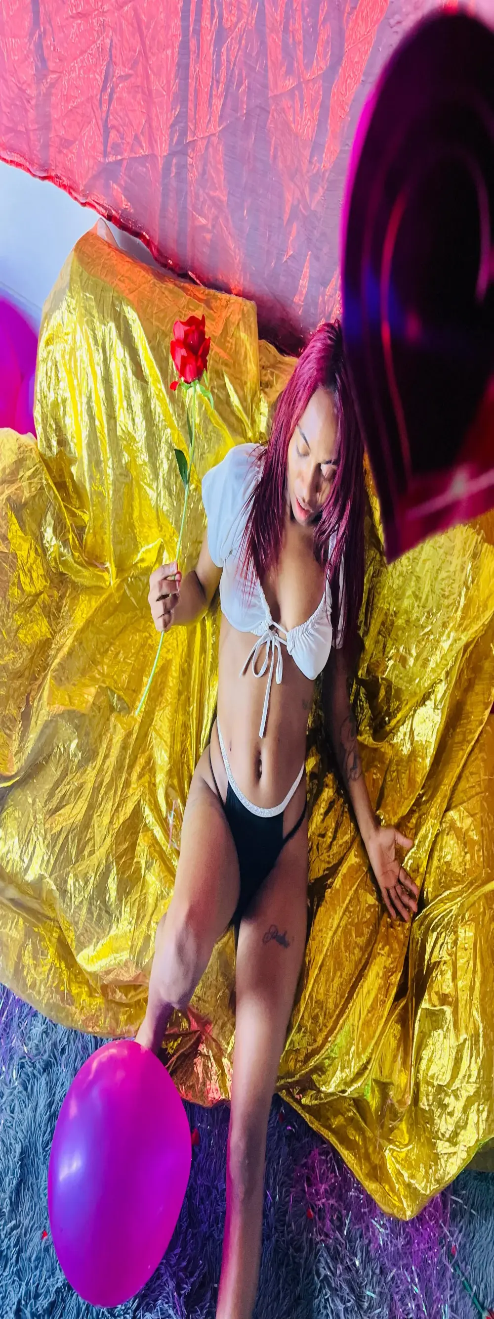 avaleri_cherry