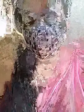 Stripchat Free Porn Cam of Monika_telugu_queen