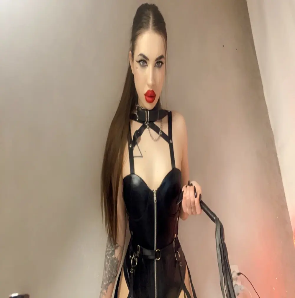 NightFury_