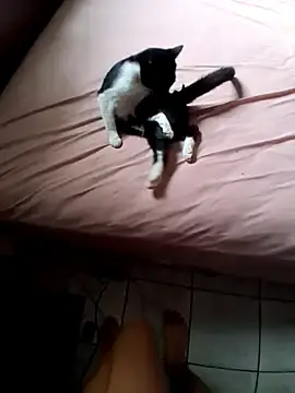 Stripchat Sex Cam of Batgirl7