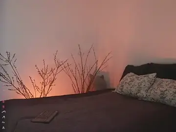 Stripchat Adult Video Chat of Special___